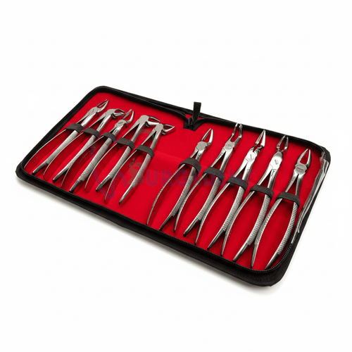 10 Pcs Dental Extraction Forceps Set – Premium Surgical Grade | G.N Dental Instruments - Stacy’s Love