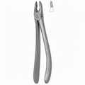 Dental Extraction Forceps No. 18 – Upper Premolar Bicuspid Extraction Instrument