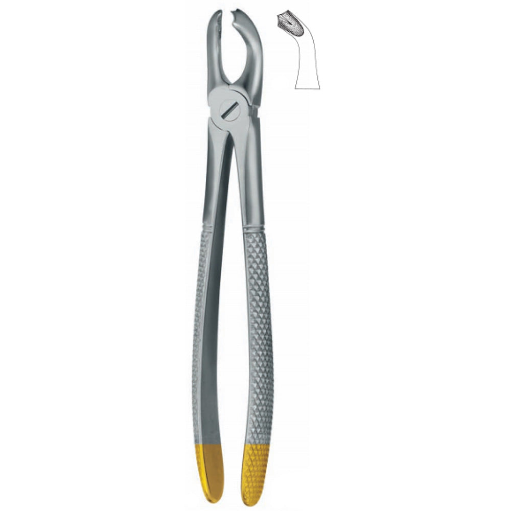 Dental Extraction Forceps No. 20 – Gold Handle Upper Molar Forceps