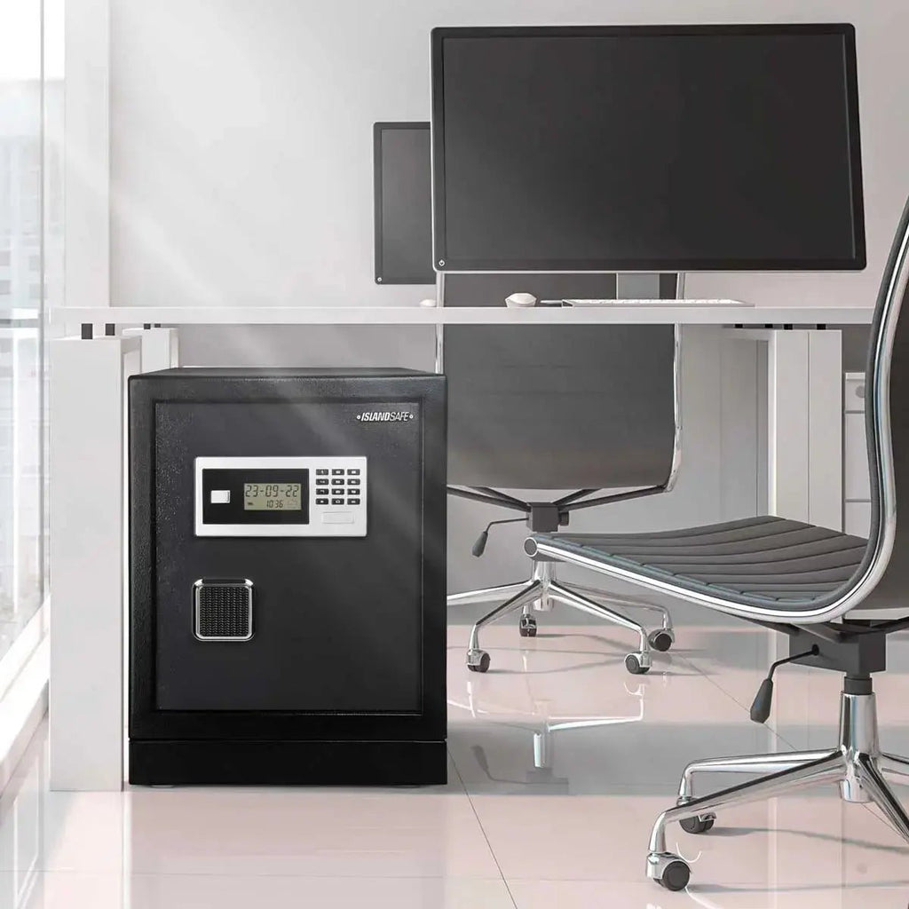 Datasavior Spacious Home Office Safe - Stacy’s Love