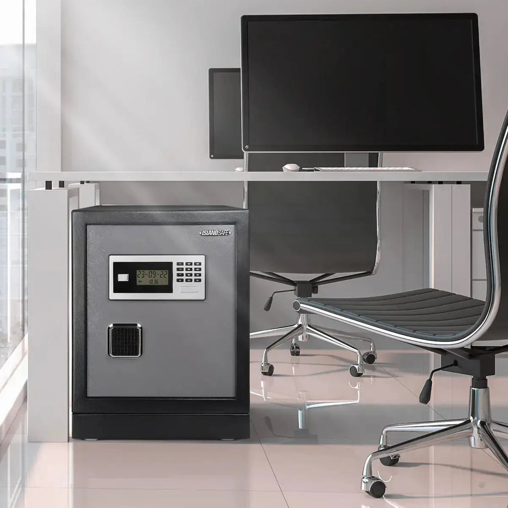 Datasavior Spacious Home Office Safe - Stacy’s Love