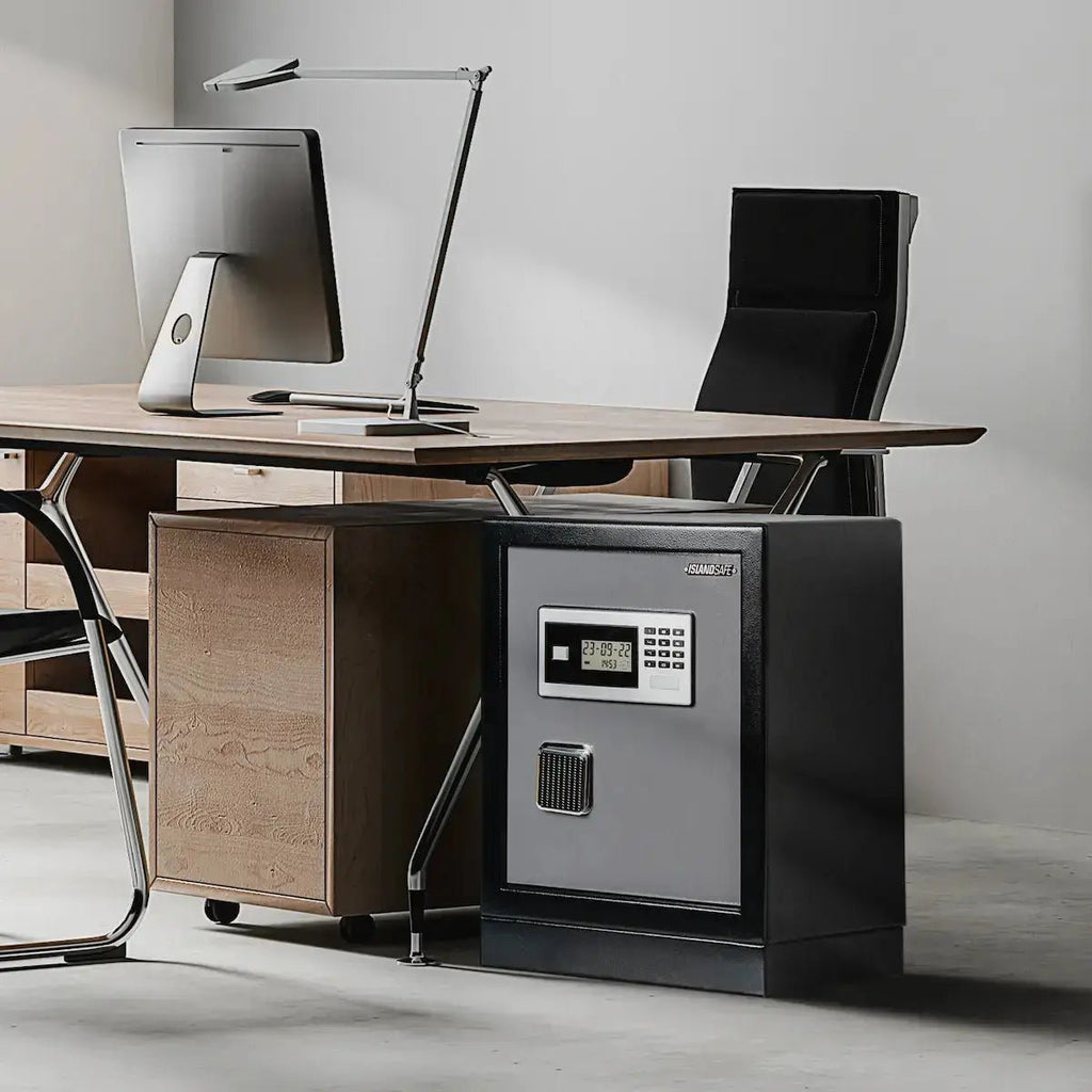 Datasavior Spacious Home Office Safe - Stacy’s Love
