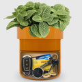 Flower Pot Hidden Safe - Stacy’s Love