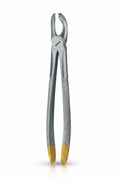 Dental Extraction Forceps No. 20 – Gold Handle Upper Molar Forceps