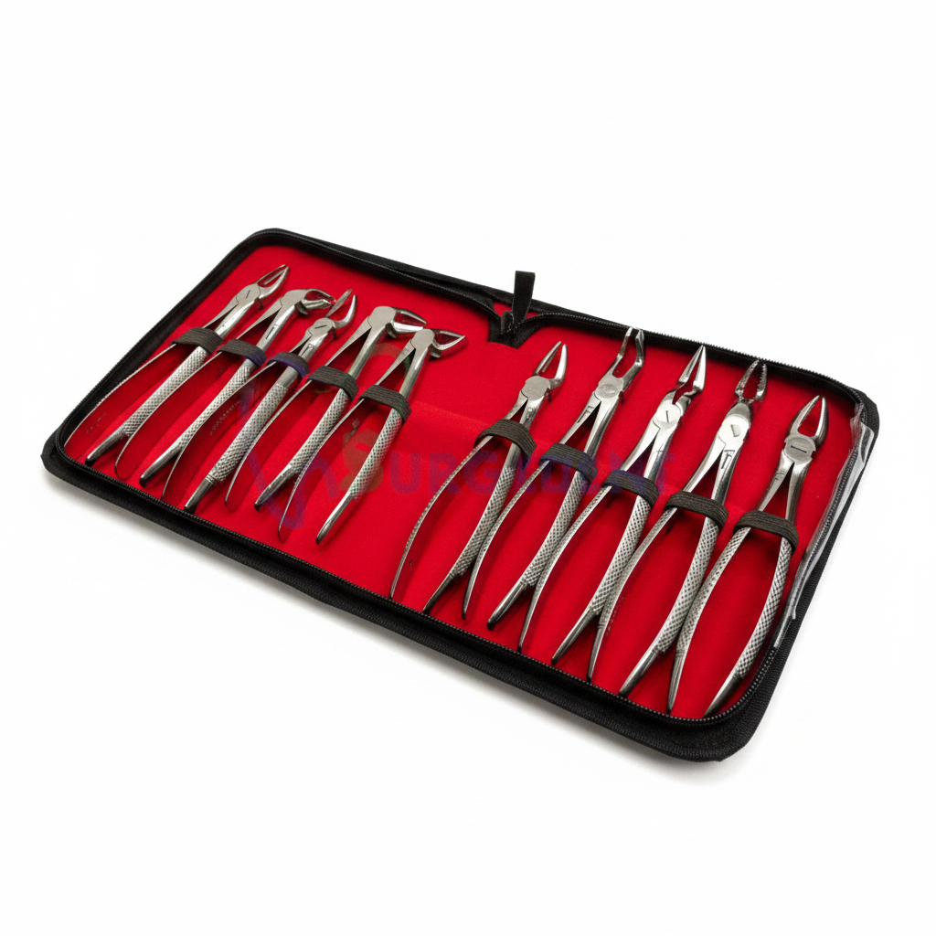 10 Pcs Dental Extraction Forceps Set – Premium Surgical Grade | G.N Dental Instruments