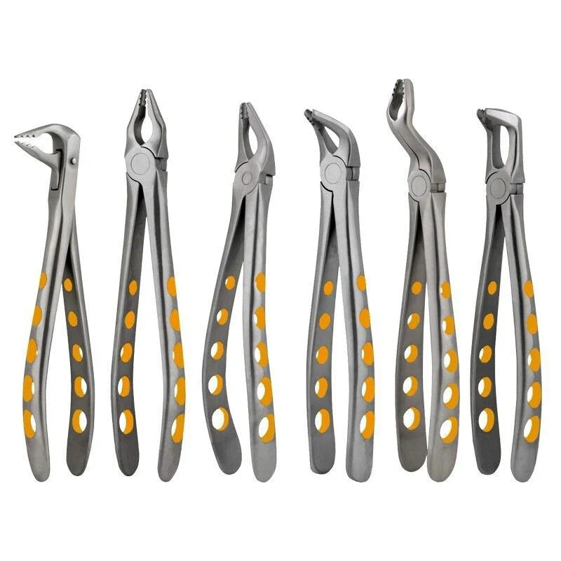 Dental Extracting Forceps Set of 6 – Best Tooth Extraction Instruments