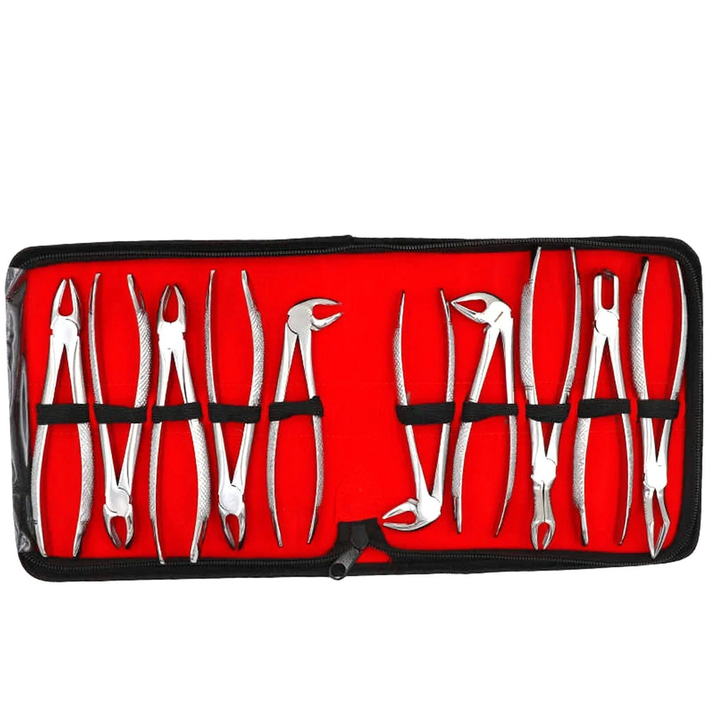 Dental Extracting Forceps Set – 10 Pieces | Professional Tooth Extraction Kit