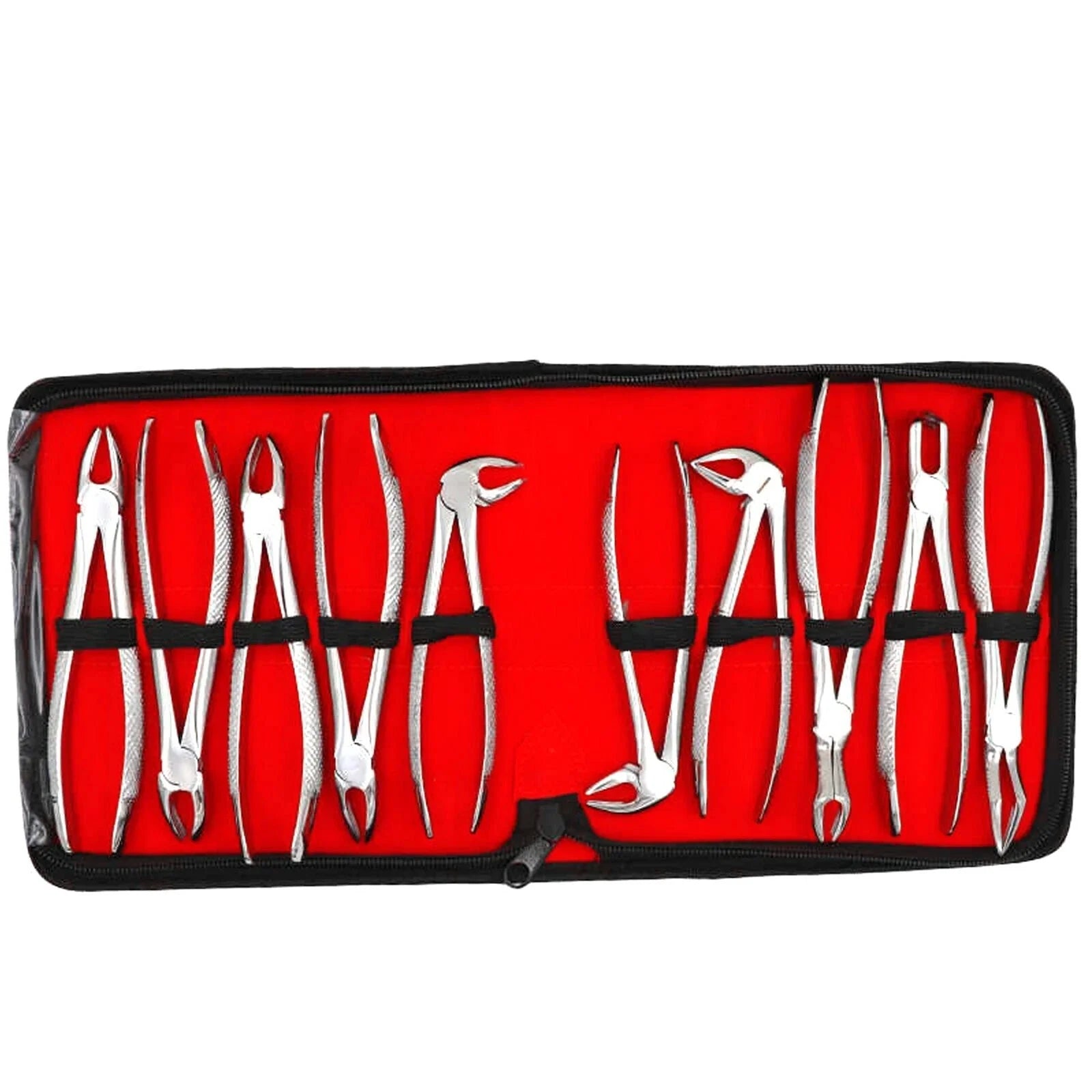 Dental Extracting Forceps Set – 10 Pieces | Professional Tooth Extraction Kit