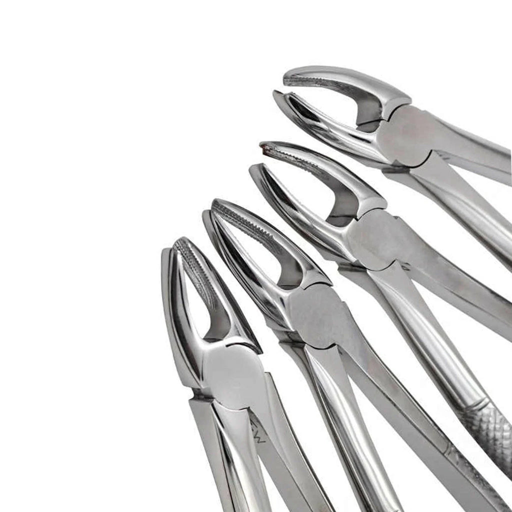 Dental Extracting Forceps Set – 10 Pieces | Professional Tooth Extraction Kit